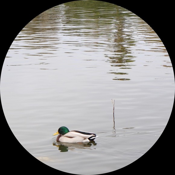 mintygreen28